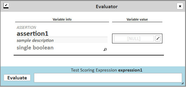 Evaluator window